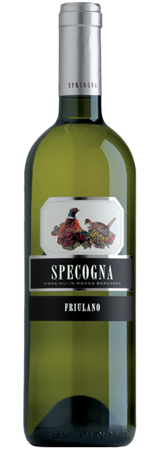Friulano Doc Collio 2017