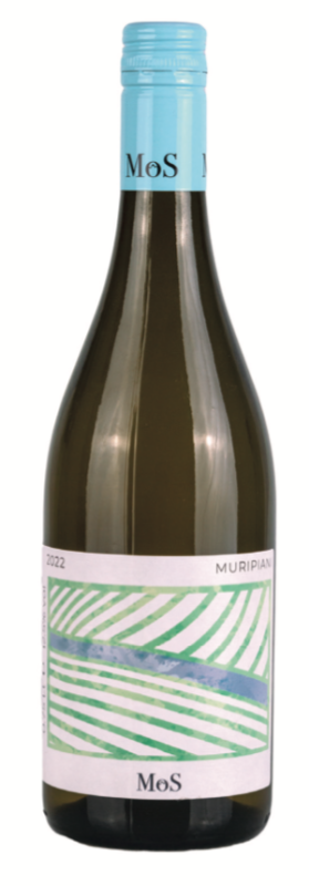 Muripiani igt