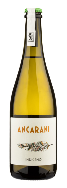 2017	INDIGENO TREBBIANO RAVENNA IGP PET NAT