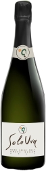 Franciacorta Brut Blanc de Blanc docg N.V. Franciacorta Brut Blanc de Blanc docg N.V.
