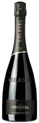 Prosecco Valdobbiadene Superiore Brut Docg 2017