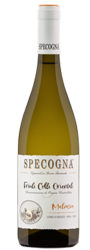 Malvasia Doc