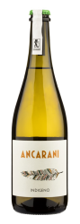 2017	INDIGENO TREBBIANO RAVENNA IGP PET NAT